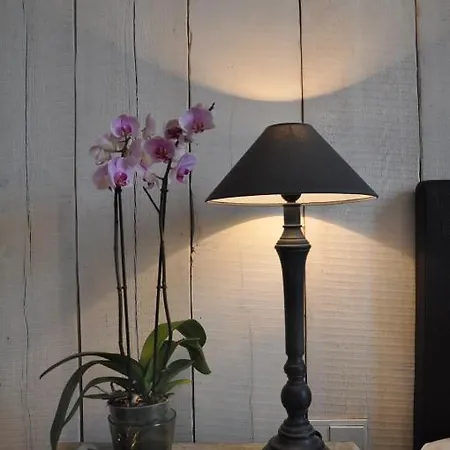 Frost Boutique 4* Parnu