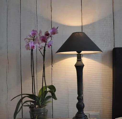 Frost Boutique 4* Parnu